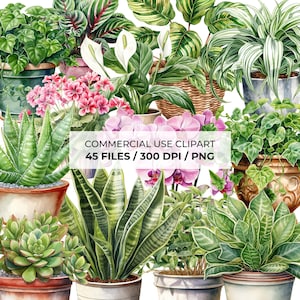 House plants clipart bundle, Indoor plants PNG clipart, Watercolor potted plants graphics, Botanical clipart, Green plants | 016