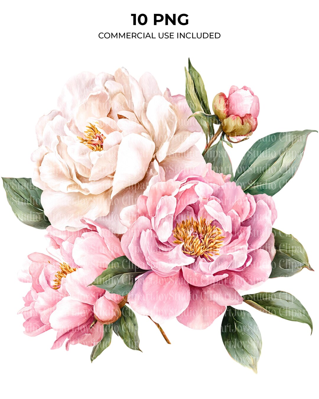 Watercolor Pink Peonies Clipart Bundle, White Peony Bouquet PNG ...