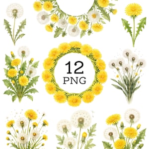 Dandelion Clipart, Dandelion bouquet, Printable Watercolor clipart, High Quality JPGs, Digital download, Paper craft, junk journals 089
