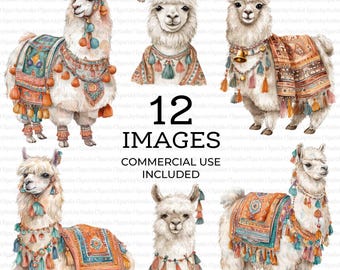 12 söta lama clipart, lama, rolig lama, utskrivbara akvarell clipart, högkvalitativa PNG-filer, digital nedladdning, hög upplösning, papperspyssel
