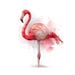 Pink Flamingo Clipart Bundle | Printable Watercolor JPG Images (digital ...