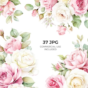 Peut inclure: Composition florale à l'aquarelle avec des roses roses, blanches et jaunes et des feuilles vertes. L'image comprend le texte "37 JPG COMMERCIAL USE INCLUDED". Les roses sont en pleine floraison.