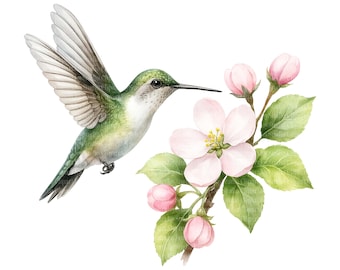 9 Blossom Hummingbird Clipart, Colibri Clipart, Printable Watercolor clipart, High Quality PNG, Digital download, Paper craft | 093