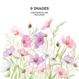 PNG Wildflower Flowers Clipart, Printable Watercolor clipart, Transparent PNGs, Digital download, Paper craft, junk journal | 195