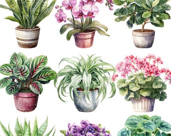 水彩画の観葉植物のクリップアート集 - 鉢植えの植物の印刷可能なPNG画像（デジタルダウンロード）
