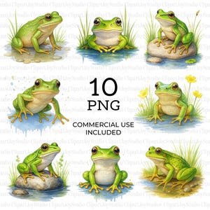 Clipart grenouille verte, clipart crapaud, clipart aquarelle imprimable, images PNG de haute qualité, téléchargement numérique, créations en papier, journaux indésirables | 066