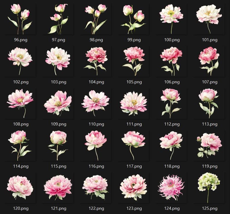 May include: A collection of watercolor illustrations of various pink and white peony flowers and buds, with green stems and leaves, set against a black background. Each flower has a unique shape and petal arrangement.