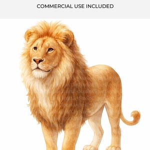 Watercolor Lion Clipart bundle, Lion PNG, Printable junk journals scrapbook images, Digital Download, Paper craft clip art