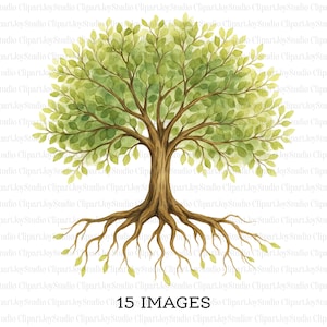Arbre de vie avec racines des cliparts, arbre généalogique de chêne, clipart aquarelle imprimable, haute qualité PNG, téléchargement numérique, créations en papier | 057