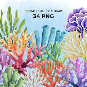 May include: Watercolor illustration of various coral reef life, including orange, pink, and white coral, blue and green sponges, and purple and yellow seaweed.  The image is labeled "COMMERCIAL USE CLIPART 34 PNG".