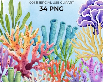 Watercolor coral reef clipart bundle, under the sea life clip art, anemone nautical, summer invitation, scrapbook, PNG images, paper craft