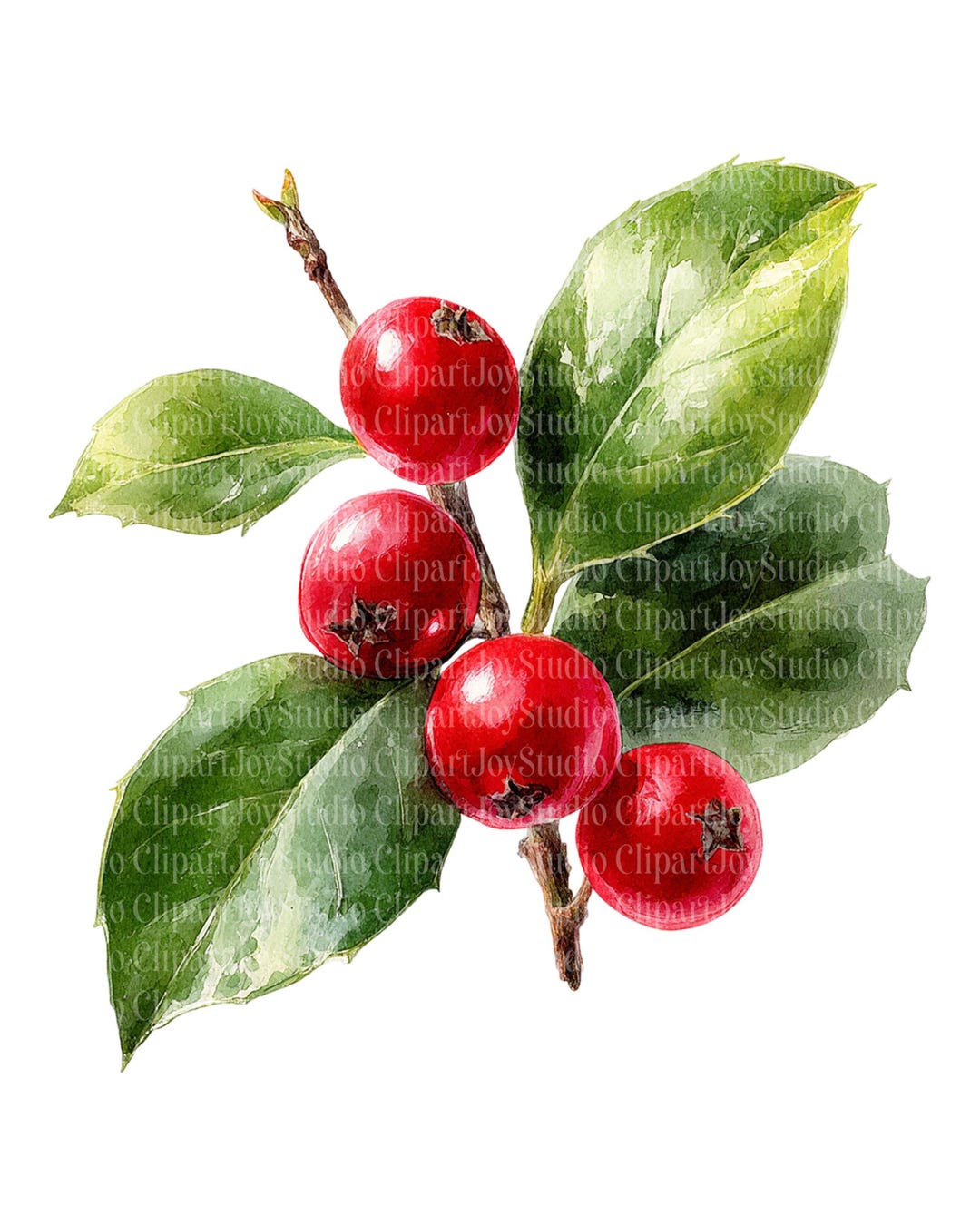 Christmas Holly Berries Clipart Bundle | Printable PNG Images (digital ...