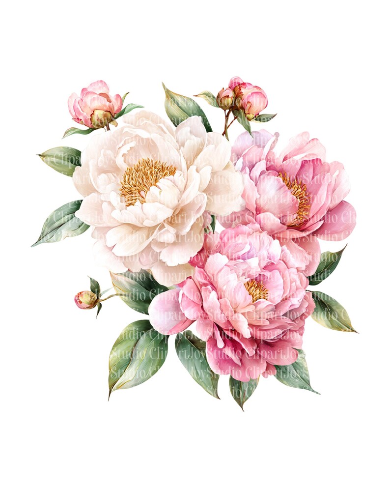Watercolor Pink Peonies Clipart Bundle, White Peony Bouquet PNG ...