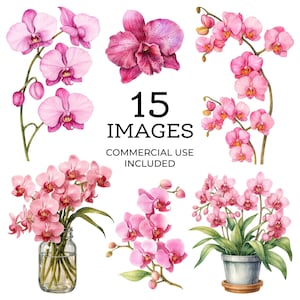 15 Orchid Clipart Bundle, Watercolor Orchids Wall Art, Printable Watercolor clipart, PNG, Digital download, Paper craft, junk journal