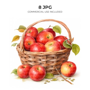 Op de afbeelding: Een aquarel illustratie van een rieten mand gevuld met rijpe rode appels en groene bladeren. De mand heeft een gebogen handvat en staat op een witte achtergrond. De afbeelding bevat de tekst "8 JPG COMMERCIAL USE INCLUDED."