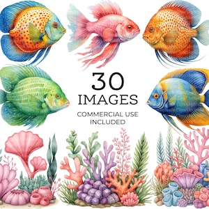 Fish Coral Reef Clipart, Underwater World Ocean, Printable Watercolor Sea Clipart, PNG graphics, Digital Download, Paper Craft | 090