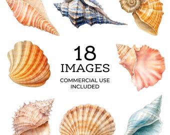 18 Seashells Clipart, Printable Watercolor clipart, Digital download, Paper craft, junk journal, Ocean Seashells PNG graphics | 101
