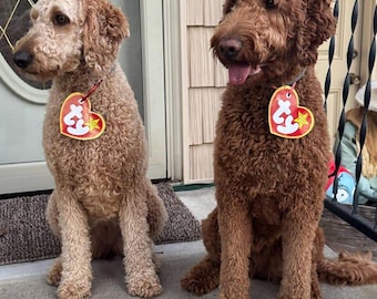 Printable Ty Beanie Baby Heart Tag for Pet Halloween Costume | DIY Digital Download
