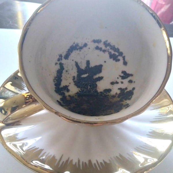 Escola de Magia, Aula de Adivinhação, Xícara de Chá Sombria