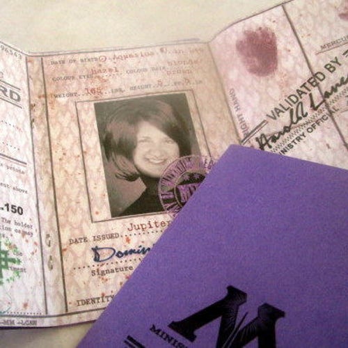 Harry Potter Ministry Of Magic Id Card