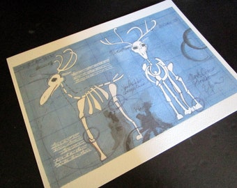 Nightmare Before Christmas Skeleton Reindeer Blueprint