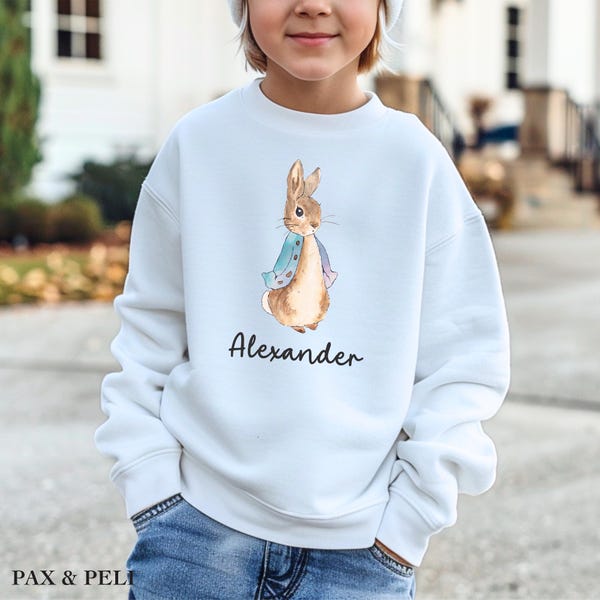 Boy rabbit wool sweart shirt