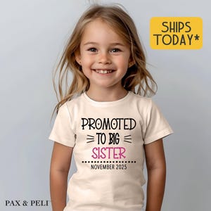 Promoted To Big Sister T-Shirt, Cute Big Sister Graphic Tee, Gift for Big Sister ( F57977 )