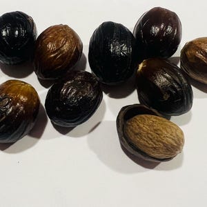 Grenadian Whole Nutmeg Pods | Authentic Spice Isle Nutmeg | Perfect for Baking, Tea & Cocktails