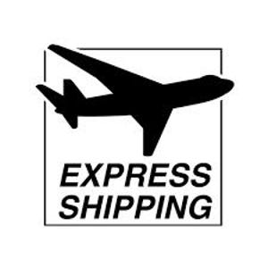 May include: Black silhouette of an airplane inside a white square with the words "EXPRESS SHIPPING" in a bold, sans-serif font below. The image is a simple, two-tone graphic.