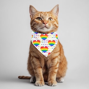 LGBTQ Pride Cat Scarf - Reversible Heart Design