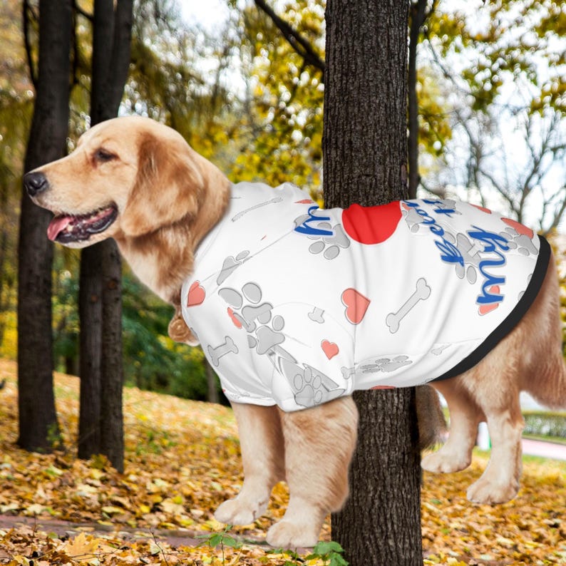 Difunde amor e inclusión: Sudadera con capucha para perro con orgullo bisexual, perfecta para amantes de las mascotas, ropa personalizada para mascotas, tallas S a XXL, yo también estoy orgulloso. imagen 11