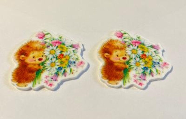 Set of 2 Flowers Cabochon Crafts Planar Resin Flatbacks Hairbows DIY