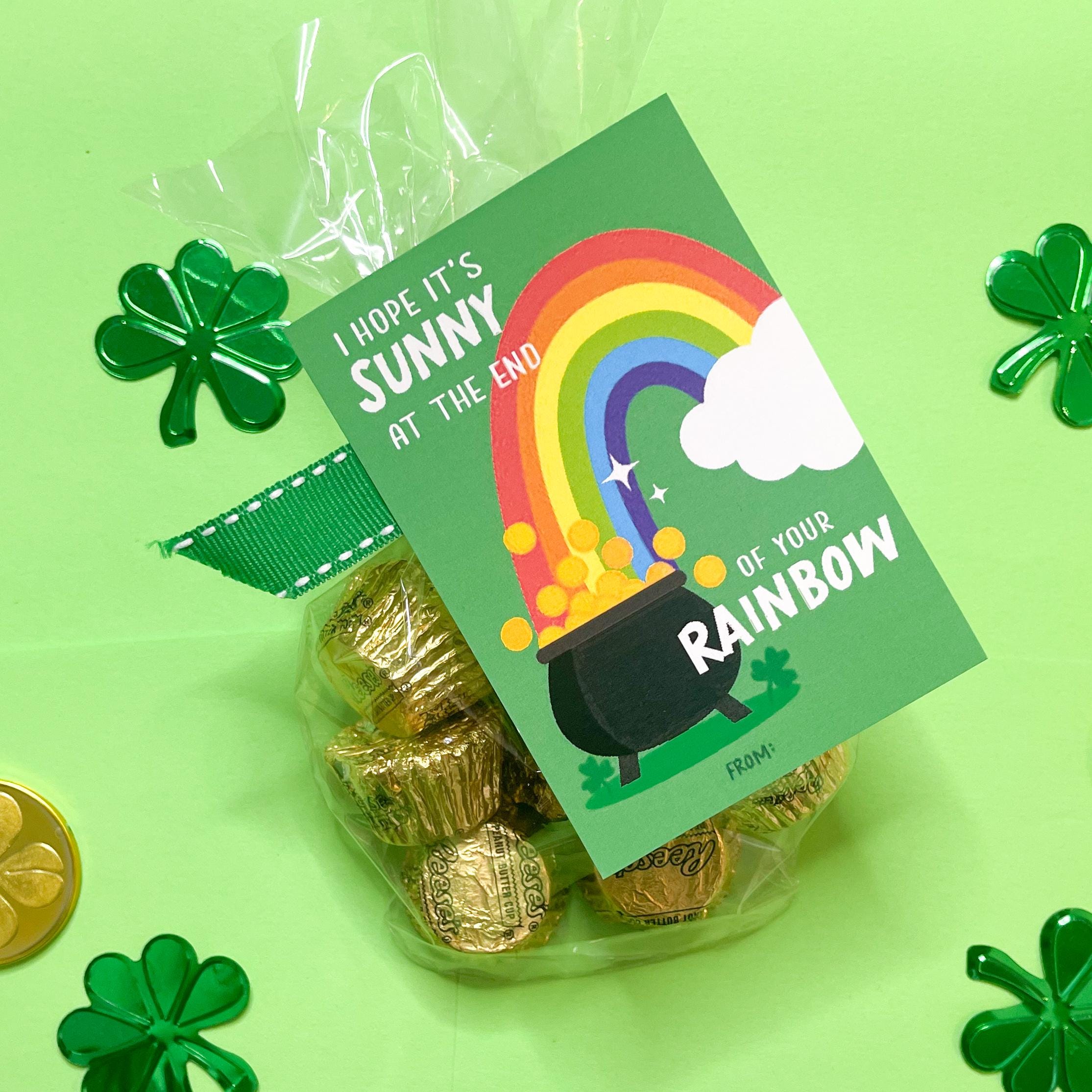 Hallmark St. Patrick’s Day Karten – Packung Mit 10 Karten & Umschlägen, Festliche Tier-Designs