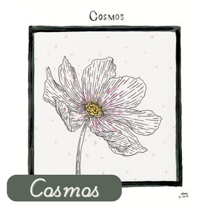 Cosmos, October Birth Month Flower, Custom Birth Flowers, Wall Art, Modern Farmhouse Artwork
