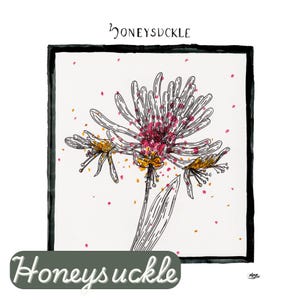Honeysuckle, June Birth Month Flower, Custom Birth Flowers, Wall Art, Modern Farmhouse Artwork