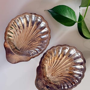 May include: Two antique silver-colored shell-shaped serving dishes. The dishes have a detailed, ridged design and a slightly tarnished appearance. The background is a white surface with green leaves.