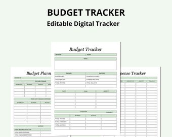2025 Budget Planner, Digital Download, Expense Tracker, Financial Organization Template, Editable Budget Planner, Printable Budget Planner