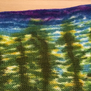 Handpainted Double Knit Light Sock Blank - Forest Sunset