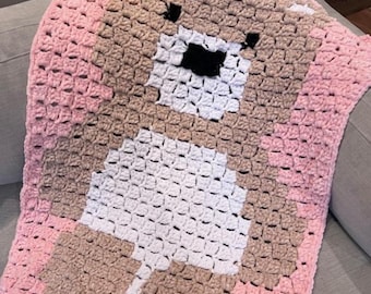 Crochet Teddy Bear Blanket Pattern: C2C Beginner Tutorial (PDF)