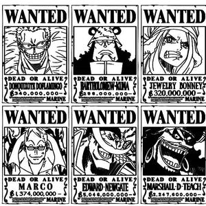 12 carteles se busca o WANTED de one piece PARTE 3