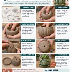 以下が含まれることがあります： Nature Reimagined Pinch Pot Planterというタイトルの教育用インフォグラフィック。セラミック製のプランターを作るための8つの手順が番号付きで記載されています。種鞘やキノコのイラスト、粘土を成形する写真、完成した緑色の多肉植物用ポットが含まれています。