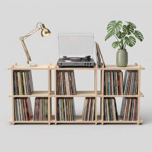 Könnte beinhalten: Ein helles Holzregal gefüllt mit Schallplatten, gekrönt von einem schwarzen Plattenspieler, einer goldenen, verstellbaren Schreibtischlampe und einer grünen Monstera-Pflanze in einem strukturierten Keramiktopf als funktionale Aufbewahrung.