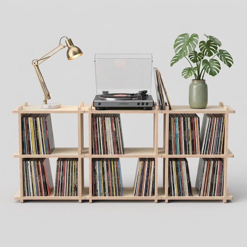 K&ouml;nnte beinhalten: Ein helles Holzregal gef&uuml;llt mit Schallplatten, gekr&ouml;nt von einem schwarzen Plattenspieler, einer goldenen, verstellbaren Schreibtischlampe und einer gr&uuml;nen Monstera-Pflanze in einem strukturierten Keramiktopf als funktionale Aufbewahrung.
