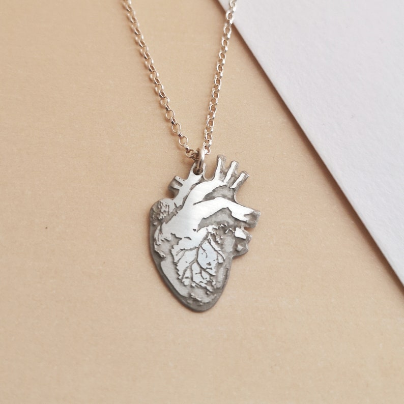 Stainless Steel Anatomical Heart Necklace Silver Heart Charm Etsy