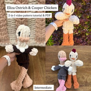 May include: Crocheted Eliza Ostrich and Cooper Chicken dolls. The ostrich is brown, cream, and tan, while the chicken is cream, orange, and red. The image includes the text "Eliza Ostrich & Cooper Chicken" and "Intermediate".