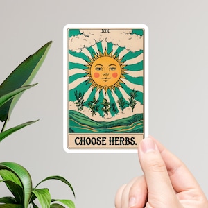 Escolha ervas Tarot Card Decal Teal- Adesivo de vinil para amantes de ervas, estética de boticário, amantes de plantas, Herbologia de bruxa, Bruxa verde