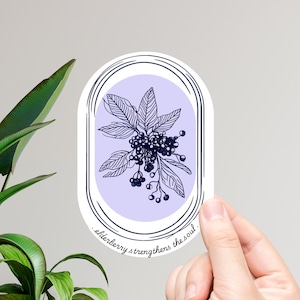 Adesivo de sabugueiro - Kiss Cut Line Art Decalque de sabugueiro, adesivo fortalece a alma, adesivo de citação botânica, adesivo de planta estética