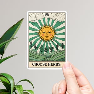 Calcomanía verde de la carta del Tarot Choose Herbs: vinilo para amantes de las hierbas, estética boticaria, plantas, herbología de brujas y brujas verdes.