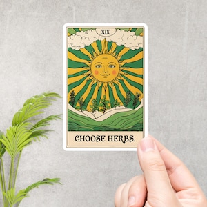Calcomanía de la carta del tarot Choose Herbs verde/amarilla: vinilo para amantes de las hierbas, estética boticaria, amantes de las plantas, herbología brujeril, bruja verde