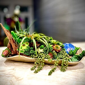 May include: A decorative succulent arrangement in a cream-coloured, oblong dish. The arrangement features a variety of green succulents, including trailing varieties, with accents of pink and brown. A piece of driftwood and a blue glass orb add visual interest.